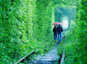 The route is romantic. Tunnel for lovers and more