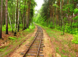 Narrow track railroad