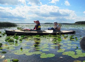 Любешівські озера Волині: чарівність та несподіванки