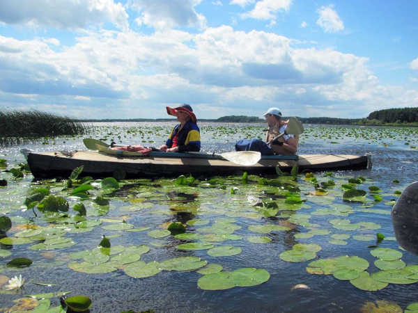 Любешівські озера Волині: чарівність та несподіванки