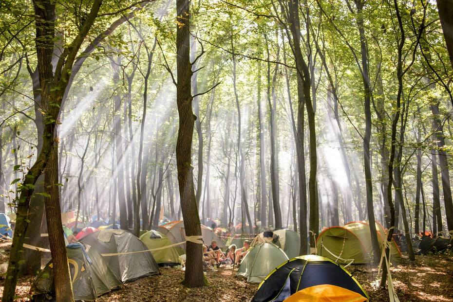 кемпінги на Шацьких озерах