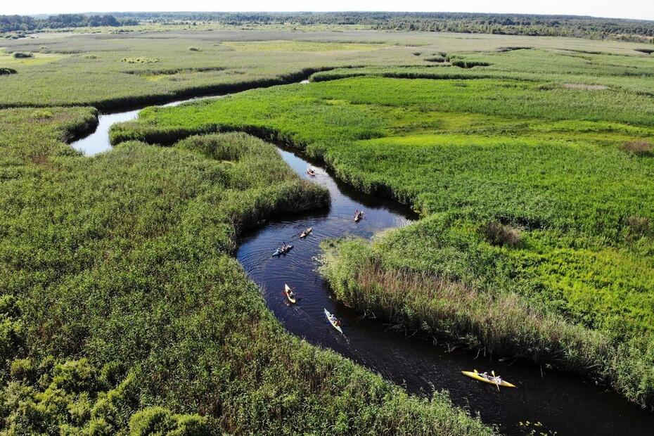 Водні екскурсії на Любешівських озерах та Прип'яті