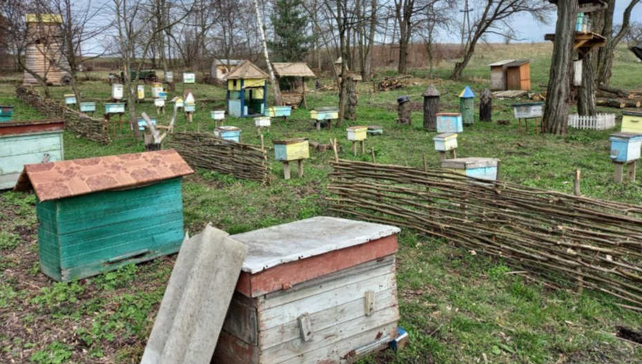 Бортництво Волині